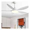 Plafonnier decoratif Noir et Blanc avec diffusion lumineuse harmonieuse 6000K