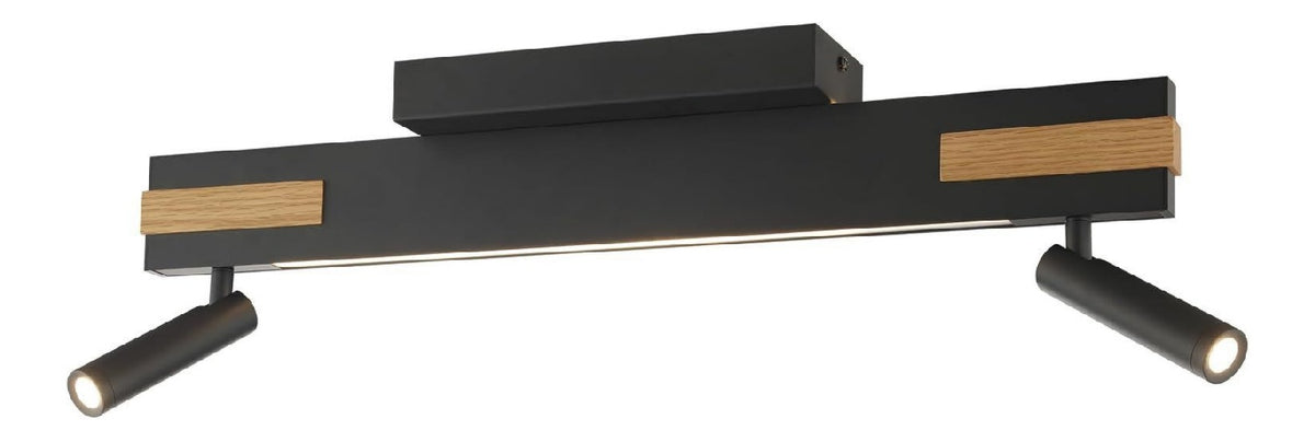 Spot de plafond Noir et Marron au style moderne avec conception fonctionnelle