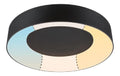 Luminaire Noir et Blanc a silhouette graphique de type plafonnier 16W IP44 3000 K